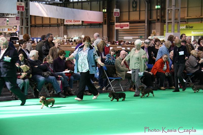 Crufts2011_2 781.jpg